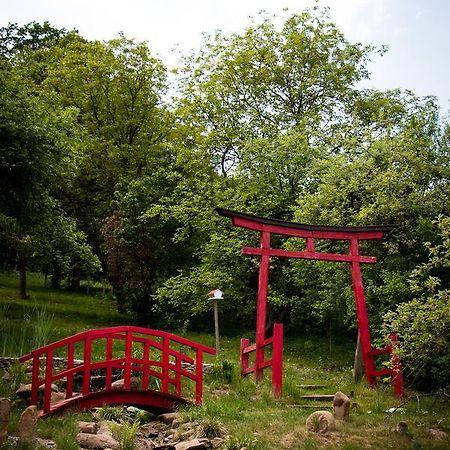 Casa Lily - Japanese Retreat Hotel Sighişoara Eksteriør billede