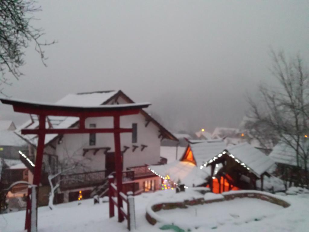 Casa Lily - Japanese Retreat Hotel Sighişoara Eksteriør billede