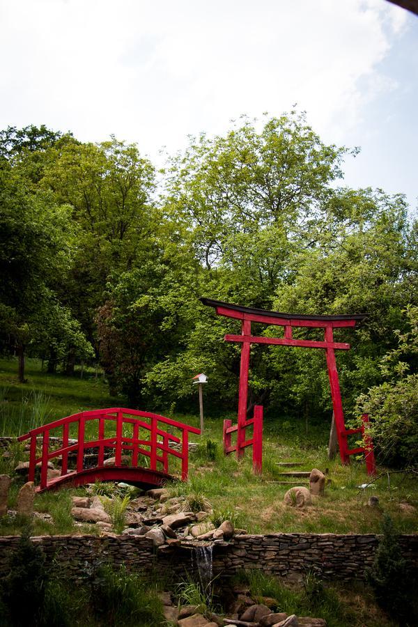 Casa Lily - Japanese Retreat Hotel Sighişoara Eksteriør billede